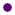 Purple_Bullet.png - 1.72 kB